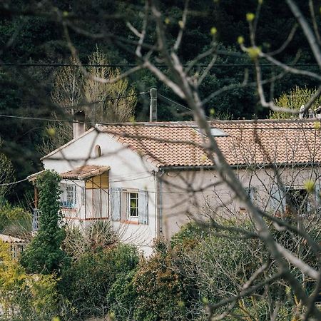 Maison D'Hotes Eco-Responsable Avec Piscine 6X12M Châteaudouble Εξωτερικό φωτογραφία