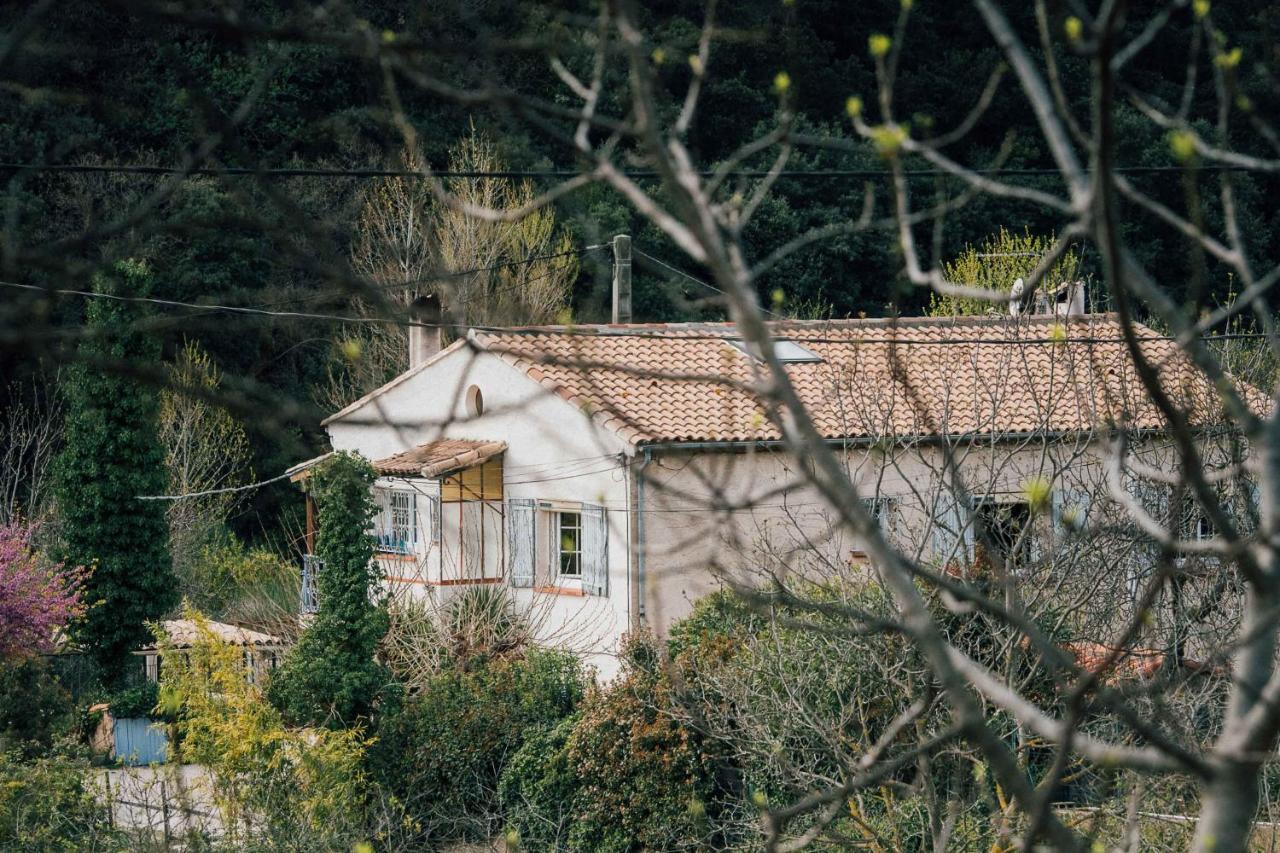 Maison D'Hotes Eco-Responsable Avec Piscine 6X12M Châteaudouble Εξωτερικό φωτογραφία