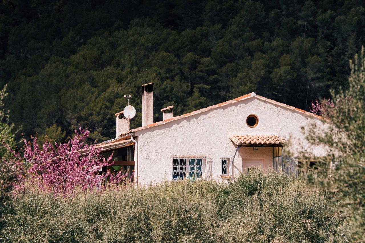 Maison D'Hotes Eco-Responsable Avec Piscine 6X12M Châteaudouble Εξωτερικό φωτογραφία