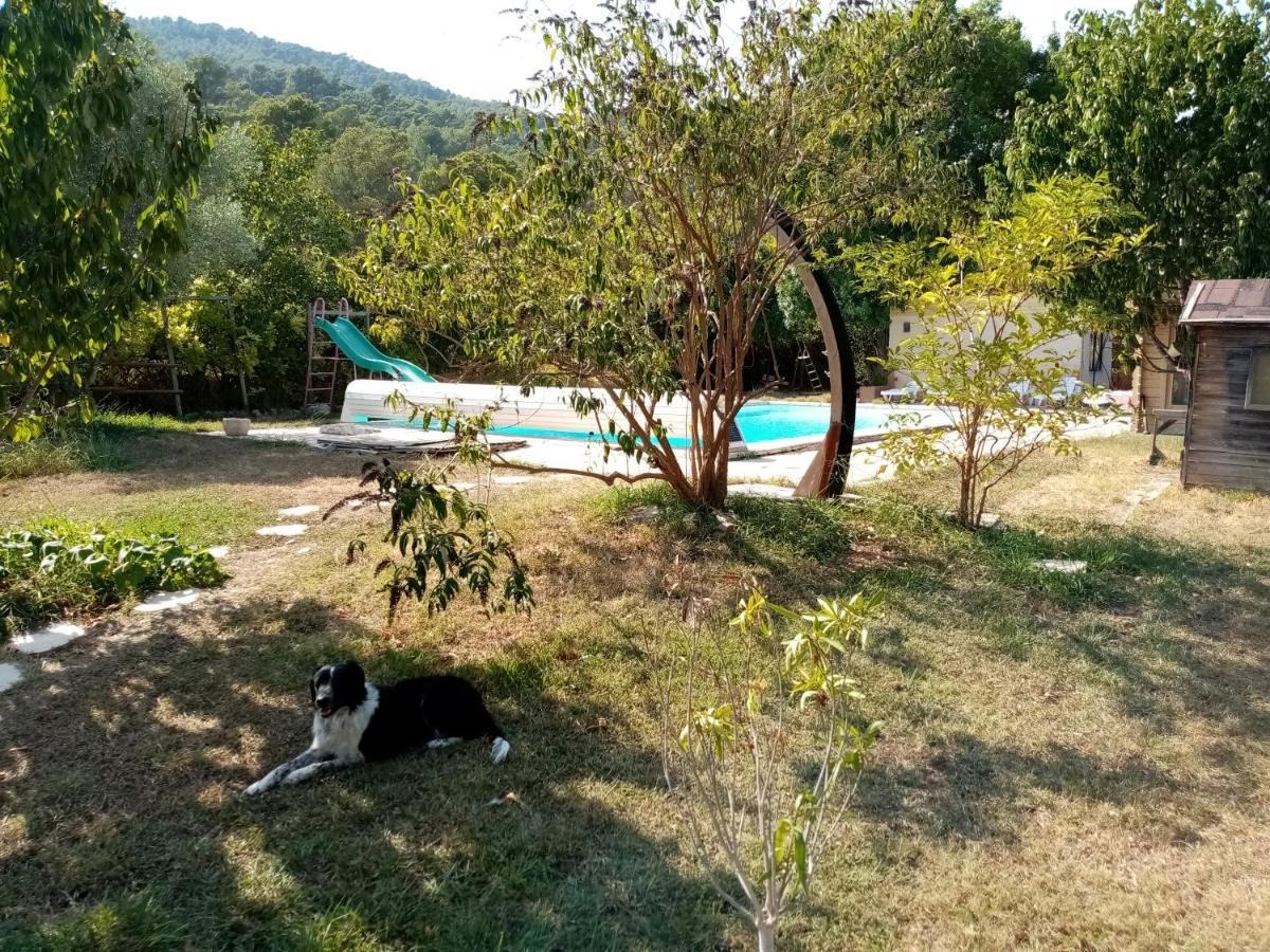 Maison D'Hotes Eco-Responsable Avec Piscine 6X12M Châteaudouble Εξωτερικό φωτογραφία